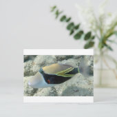 Carte Postale Huymuhumunukunukuapua'a Hawaii State Fish (Debout devant)