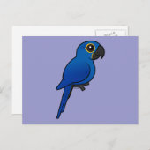 Carte Postale Hyacinth Macaw (Devant / Derrière)