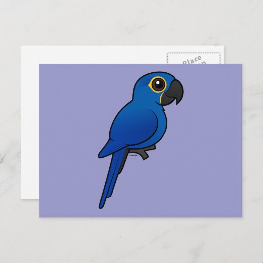 Carte Postale Hyacinth Macaw (Devant / Derrière)