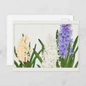 Carte Postale Hyacinthe par Tanigami Konan (Devant / Derrière)
