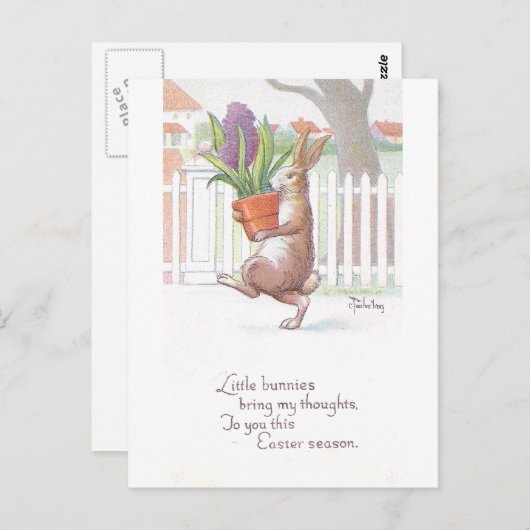 Carte Postale Hyacinthe pourpre Pointe Portée Par Le Lapin (Devant / Derrière)