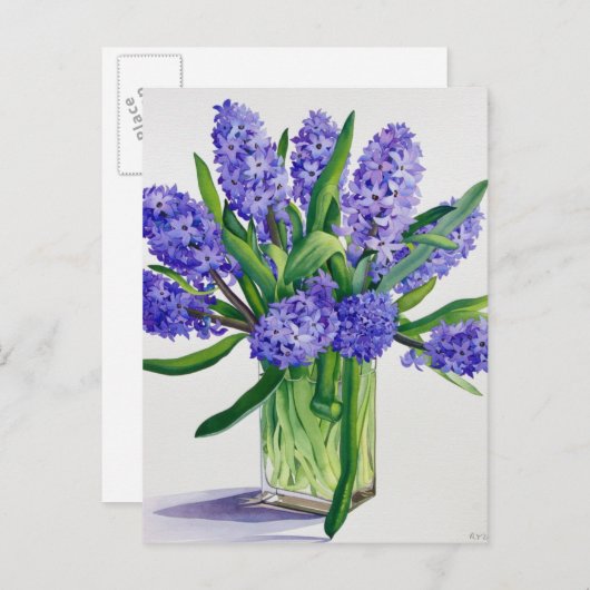 Carte Postale Hyacinthes bleus (Devant / Derrière)