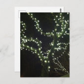 Carte Postale Hyannis Lights Postcard (Devant / Derrière)