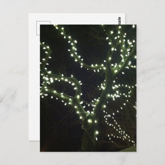 Carte Postale Hyannis Lights Postcard (Devant / Derrière)