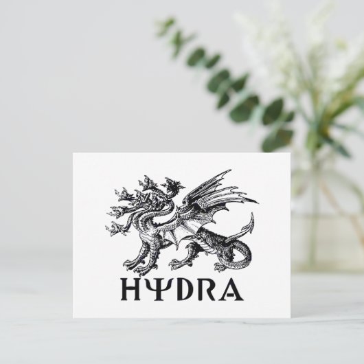 Carte Postale Hydra (Debout devant)
