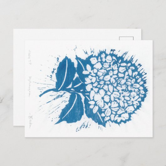 Carte postale Hydrangea (Devant / Derrière)
