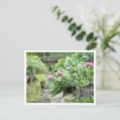 Carte Postale Hydrangea (Debout devant)