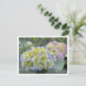 Carte Postale Hydrangea (Debout devant)