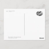 Carte Postale Hydrangea (Dos)