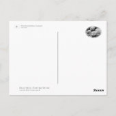 Carte Postale Hydrangea (Dos)