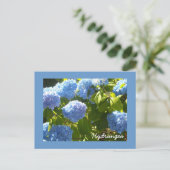 Carte Postale Hydrangea Bleu Ensoleillé (Debout devant)