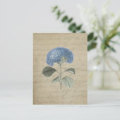 Carte Postale Hydrangea bleu vintage avec Calligraphie antique (Debout devant)