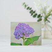 Carte Postale Hydrangea blossom (Debout devant)
