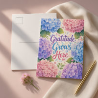 Hydrangea : La gratitude grandit ici