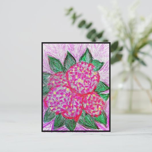 Carte Postale Hydrangea macrophylla (Debout devant)