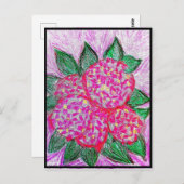 Carte Postale Hydrangea macrophylla (Devant / Derrière)