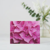 Carte postale Hydrangea rose (Debout devant)