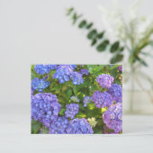 Carte Postale Hydrangeas bleues et violettes (Debout devant)