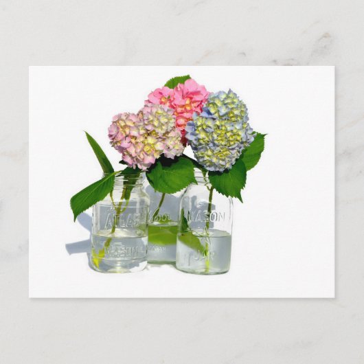 Carte Postale Hydrangeas et jarre de Mason (Devant)