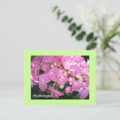 Carte Postale Hydrangeas roses (Debout devant)