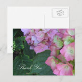 Carte Postale Hydrangeas roses (Devant / Derrière)