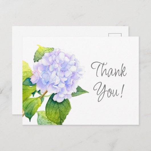 Carte Postale Hydrangée (Devant / Derrière)