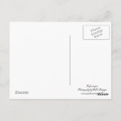 Carte Postale Hydrangée (Dos)