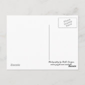 Carte Postale Hydrangée rose (Dos)