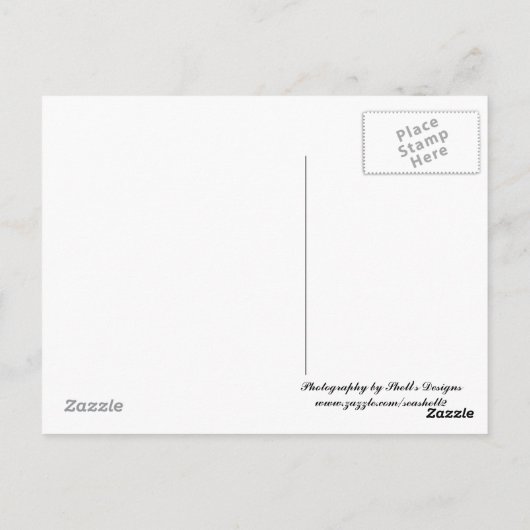 Carte Postale Hydrangée rose (Dos)