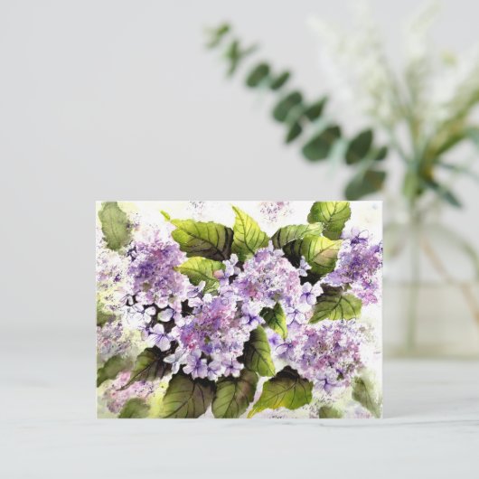 Carte Postale Hydrangées Lacecap (Debout devant)