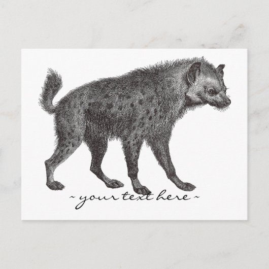 Carte postale Hyena (Devant)