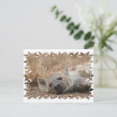Carte postale Hyena Picture (Debout devant)