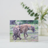 Carte Postale Hyena Wildlife of Africa (Debout devant)