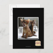 Carte Postale Hymnes de louange de Kitteh (Devant / Derrière)