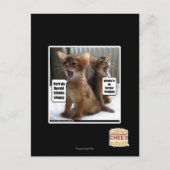 Carte Postale Hymnes de louange de Kitteh (Devant)