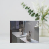 Carte Postale Hyper Lynx exécute a)cross-hare (Debout devant)