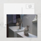 Carte Postale Hyper Lynx exécute a)cross-hare (Devant / Derrière)