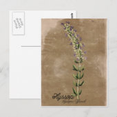 Carte postale Hyssop de style vintage (Devant / Derrière)