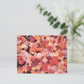 CARTE POSTALE I (Debout devant)