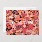 CARTE POSTALE I (Devant / Derrière)