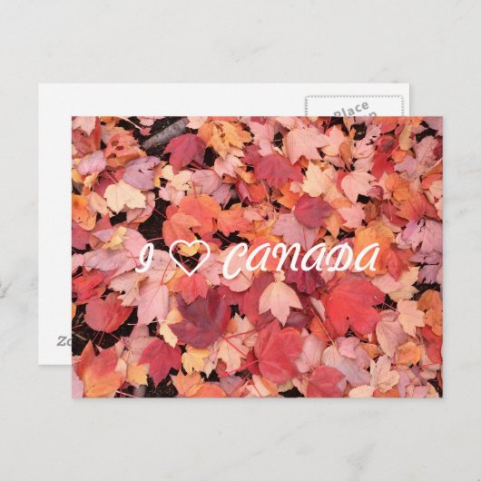 CARTE POSTALE I (Devant / Derrière)