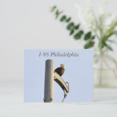 Carte postale I-95 Philadelphia Bald Eagle (Debout devant)