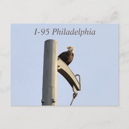 Carte postale I-95 Philadelphia Bald Eagle (Devant)
