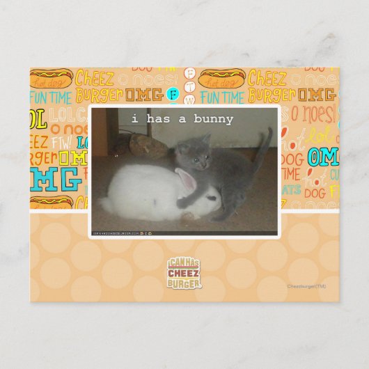 Carte Postale I a un lapin (Devant)