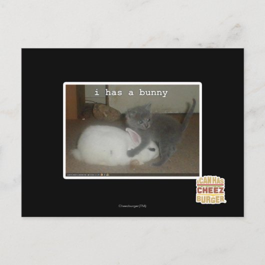 Carte Postale I a un lapin (Devant)