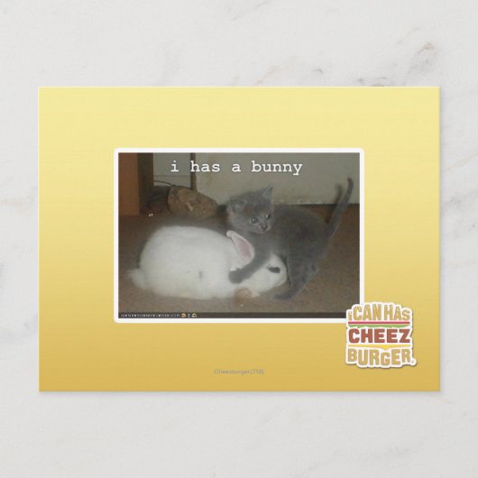 Carte Postale I a un lapin (Devant)