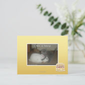 Carte Postale I a un lapin (Debout devant)