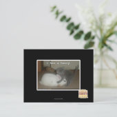 Carte Postale I a un lapin (Debout devant)