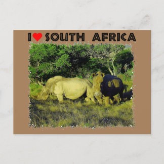 Carte Postale I Coeur Afrique du Sud Rhino Couple