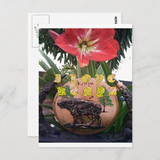 Carte Postale I (Coeur) Kenya Buffalo Patch/Print (Devant / Derrière)